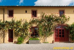 Bernardini 22